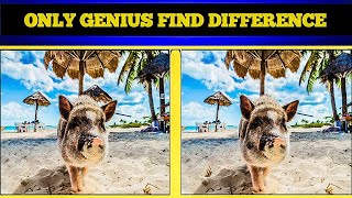 Find The Difference Only Genius Find Differences Spot The Difference