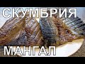 Скумбрия на мангале. Рецепт запеченной скумбрии на углях