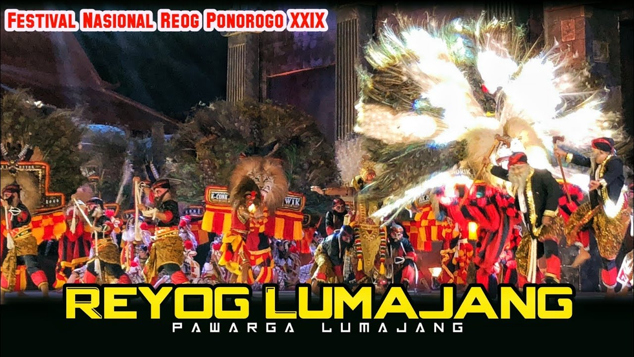 Sangar !! Penampilan Reyog Lumajang Reog indah Pawargo Lumajang FNRP 2024