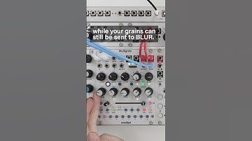 Multigrain v1.2! Live Sounds, Looping Recorder + more #intellijel #multigrain #newfirmwareday