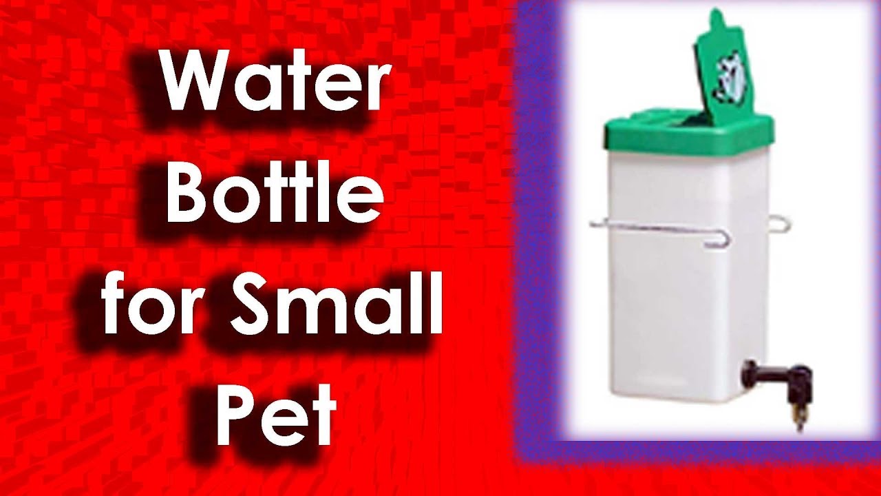 Best Water Bottle for Small Pet | Small Animal Water Bottle