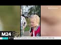 Телезрители Москвы 24 показали реакцию ребенка на переход на дистанционное обучение - Москва 24