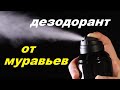 Как БЫСТРО избавиться от муравьев - ДЕЗОДОРАНТ самое простое надежное средство!