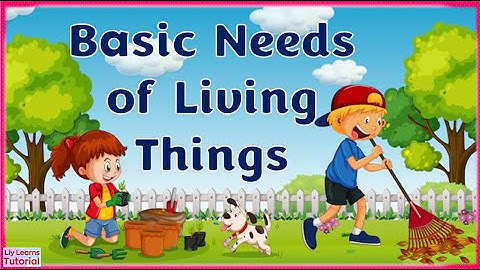 Basic Needs of Living Things | How do living things survive? | What do living things need?