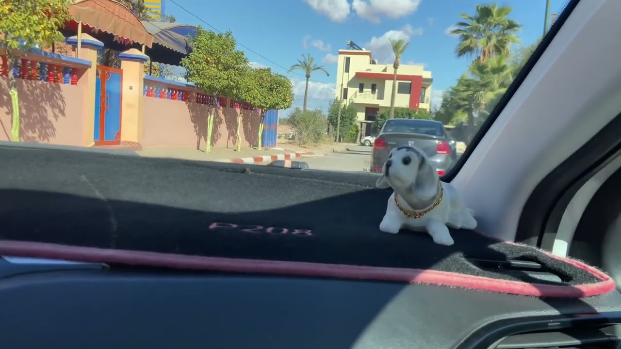 الدورة الشرفية لامتحان السياقة مراكش