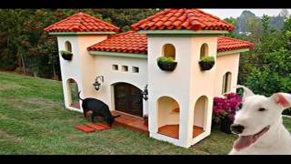 20 Most Luxurious Dog Houses