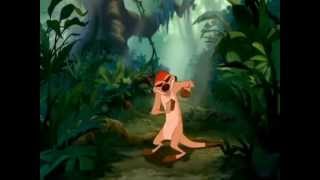 Tlk - Love Is In Bloom