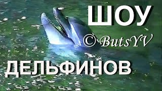 Крым. Шоу дельфинов и морских котиков. The Crimea. Show of dolphins and fur seals Крым. Шоу дельфинов и морских котиков. The Crimea. Show of dolphins and fur seals
