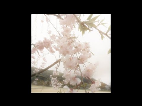 "waning" preview
