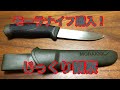 モーラナイフ購入！じっくり観察