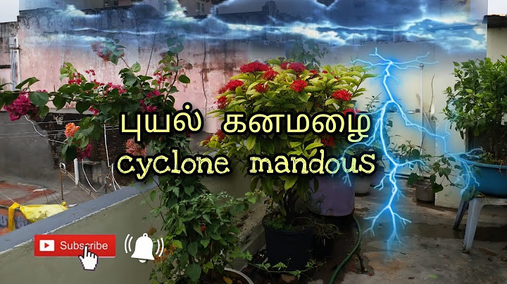 How to take care of plants after cyclone/புயல், மழைக்கு பின் செடிகளை பராமரிப்பது எப்படி?