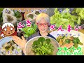 【ふきのとう／フキノトウ／蕗の薹を食べよう】ふきのとうレシピ　ふきざんまい！