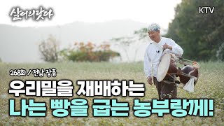 (살어리랏다)(268회) '아따~, 저는 장흥서 우리 밀로 빵굽는 농부랑께요!' koreatv, farmer, buckwheat flower, wheat, bread (전남 장흥)