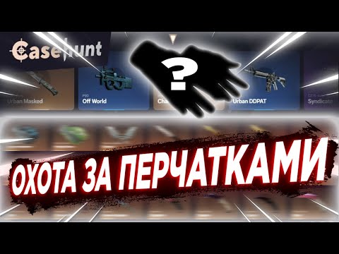 Видео: КЕЙС ХАНТ ПУТЬ ДО ПЕРЧАТОК l ОХОТА НА НОЖ ИЛИ ПЕРЧАТКИ CASEHUNT l ОТКРЫТИЕ КЕЙСОВ НА КЕЙС ХАНТЕ CS2