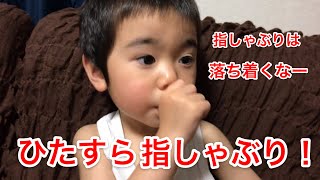 ２歳４カ月　指しゃぶりが治らないゆい君