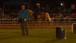 3 year old Futurity Championship 2019, open, video 2