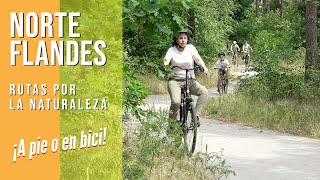 FLANDES / Norte de Bélgica. Senderismo y rutas en bicicleta. Turismo familiar