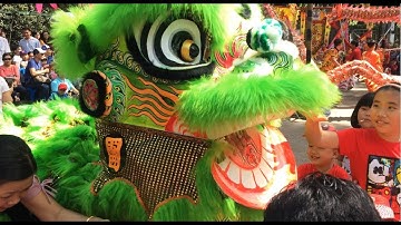 Dạo Quanh Hội Hoa Xuân Công Viên Tao Đàn Quận 1 #CôngViênTaoĐàn #XuânKỷHợi2019