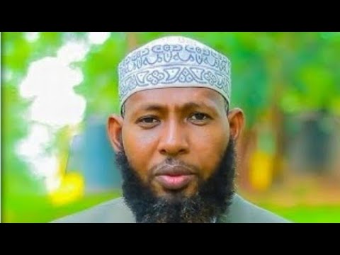 15 Arba Iinu Anawawiyu