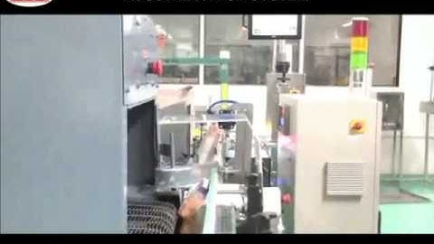 Online Check Weigher  (B2 CWS) with  Flap Rejection