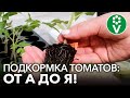 ЗОЛОТОЕ ПРАВИЛО ПОДКОРМКИ ТОМАТОВ для крепкой и здоровой рассады!