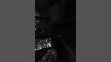 Shotgun CQB Is Fun in Stalker Gamma #shorts #stalker2 #stalker #anomaly #stalkeranomaly #game #fps