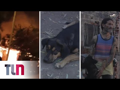 Video: Perro rescatado de la casa en llamas se reúne con los héroes que lo salvaron