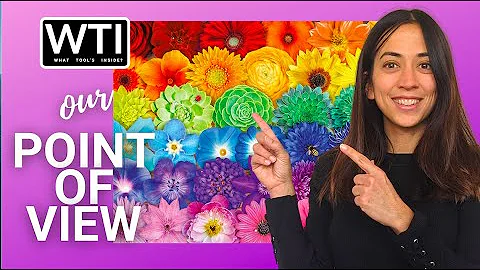 Our Point of View on Buffalo Games Blooms of Color Puzzle From Amazon