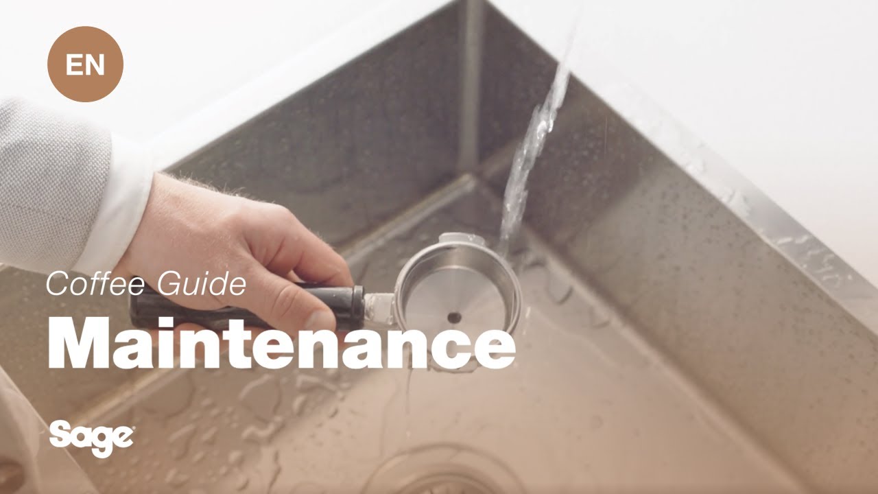 The Oracle™ Touch | A cleaning guide to the portafilter and filter basket | Sage Appliances EN