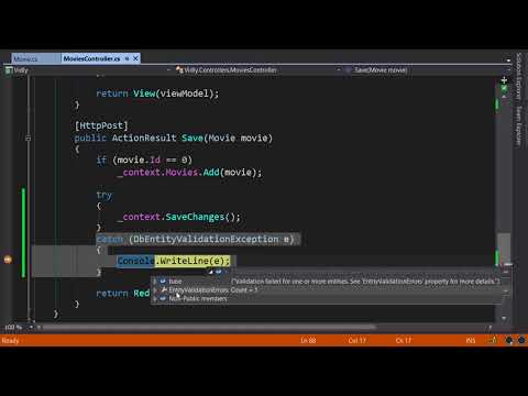Troubleshooting Entity Validation Errors