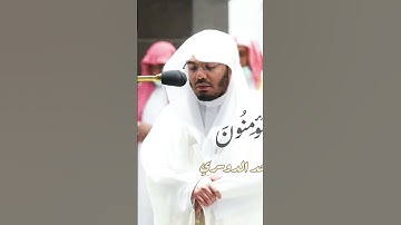 سورة المؤمنون كاملة | تلاوة خاشعة تهز القلب بصوت ياسر الدوسري | Quran Surah Al-Mu’minu