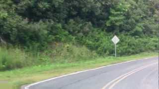 'The Road to the Cabin' at Jonas Ridge, NC