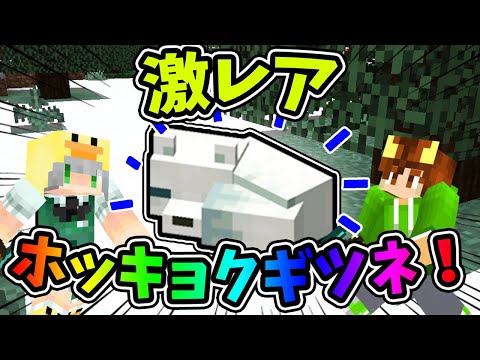 【ぽこくらシーズン 3】激レア！！北極ギツネを捕まえろ！ 【マインクラフト】マイクラ建築 ゆっくり実況プレイ