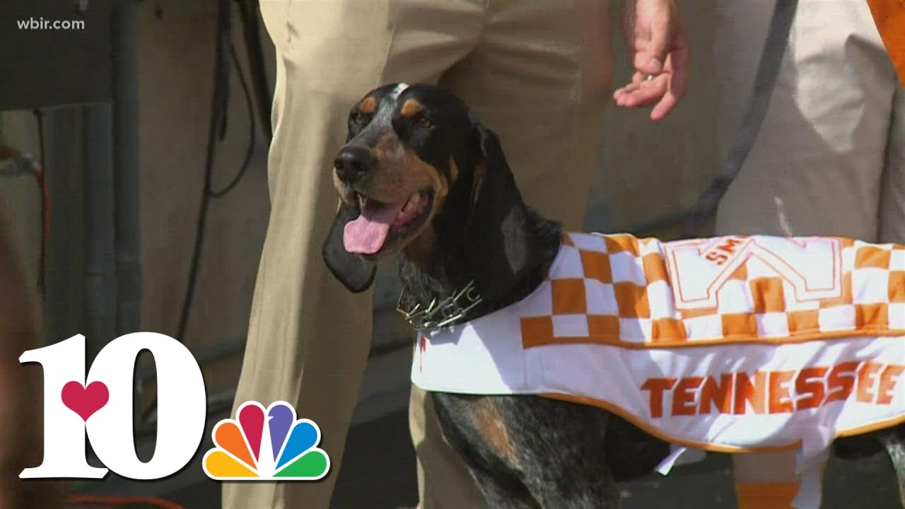 68 years ago today: Smokey becomes UT's mascot