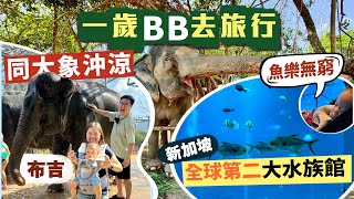 【李老闆】一歲BB去旅行！7日遊東南亞‼️外地湊仔有何「理想與現實」的落差？🫣｜親子遊推介：布吉大象保育園🐘新加坡SEA海洋館🐠｜Ft. SIEMENS