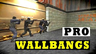 Unforgettable PRO Wallbangs in CS 1.6