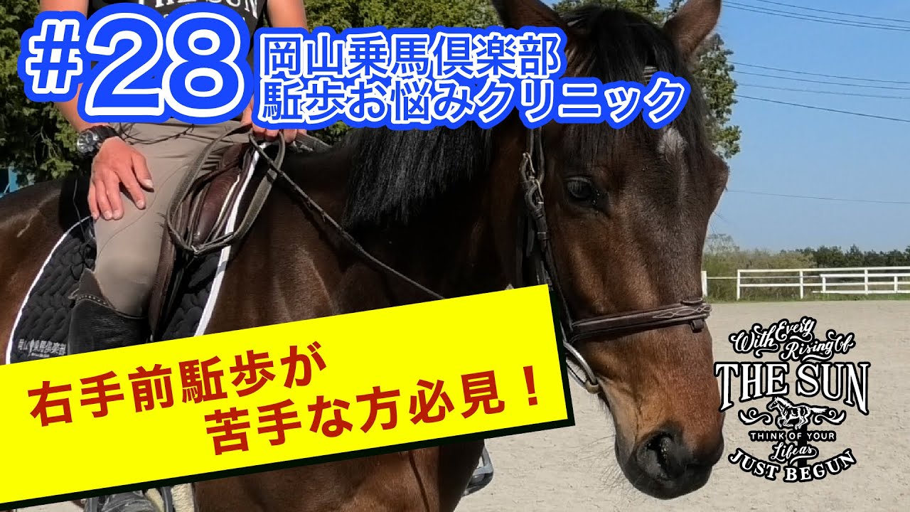 第28弾 右手前駈歩がの苦手な方必見！【岡山乗馬倶楽部 駈歩お悩みクリニック】