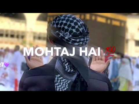 new-islamic-whatsapp-status-/heart-touching-naat-status-/islamic-ringtone-2019/new-naat-ringtone