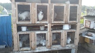 ██Уличная клетка для кроликов/ размеры/ плюсы и минусы ██Уличная клетка для кроликов/ размеры/ плюсы и минусы