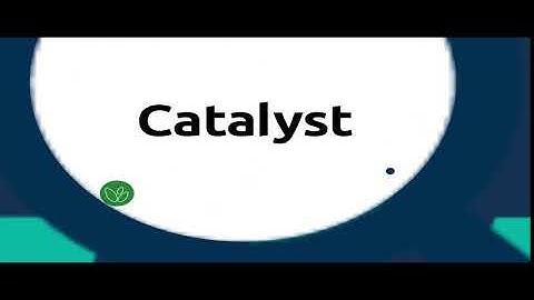 Catalyst Bumper