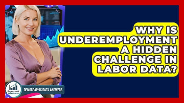 Why Is Underemployment A Hidden Challenge In Labor Data? - Demographic Data Answers