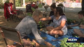 Louisville Classical Academy students hope to help restore urban tree canopy