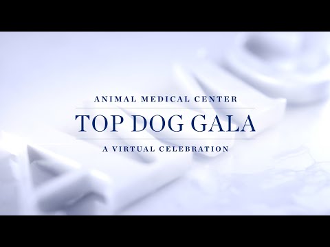 The Animal Medical Center (AMC) honored AMC Healthcare Heroes at this year’s virtual Top Dog Gala for their incredible sacrifices to deliver world-class veterinary care throughout the pandemic. The December 8th virtual event also honored two remarkable working dogs and raised $1.4 million.
