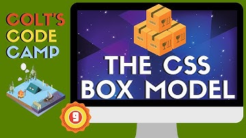 Master The All Important CSS Box Model - Colt