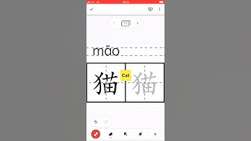 How to write 猫 #貓 #māo #cat #Chinese #how to write #write #Strokes #HSK #stroke order #trainchinese