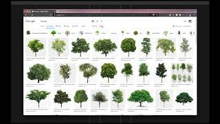 Using google to find high resolution images