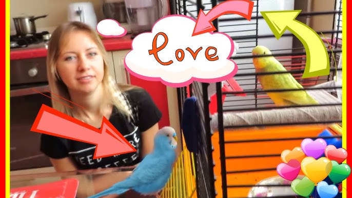 Ұлы мен анасы арасындағы шынайы секс