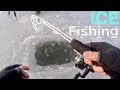 BIG FISH THROUGH THE ICE!!! Ice Fishing a TIDAL River (CRAZINESS)