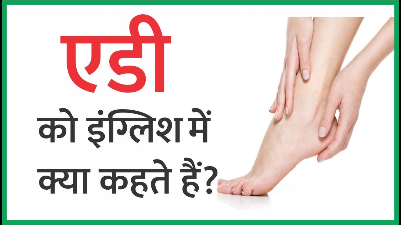 एड़ी को इंग्लिश में क्या कहते हैं Adi ko English me kya Kehte hain