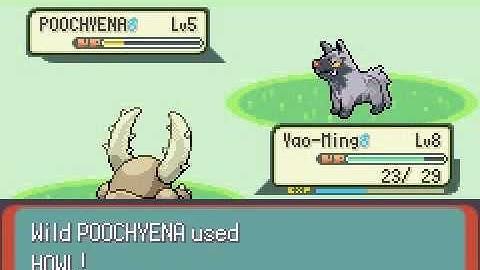 OMG Pokemon Emerald with Bugs Only (Part 3)